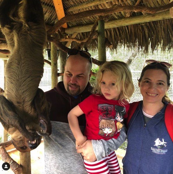 Sloth Encounter