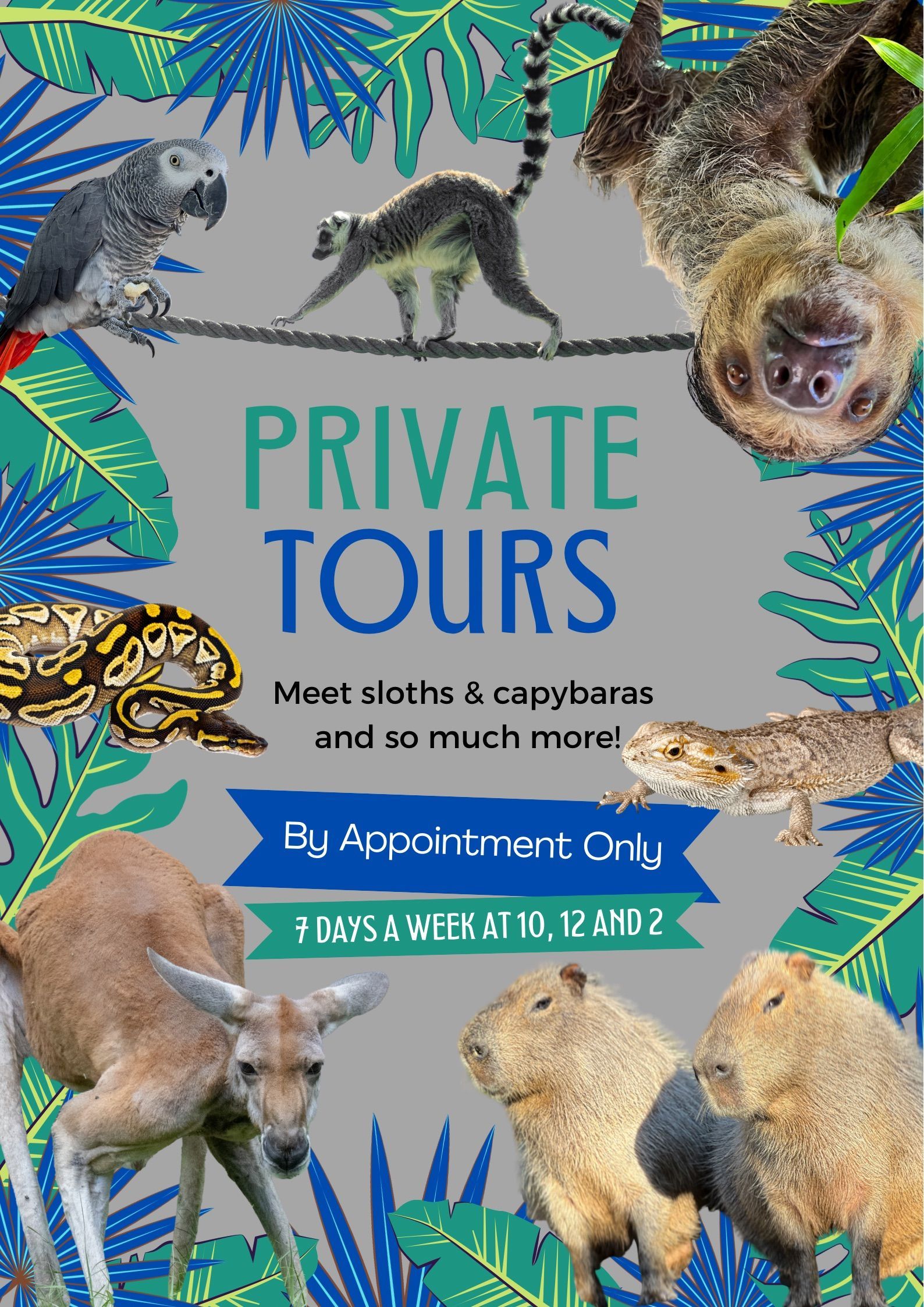 Book a tour infographic