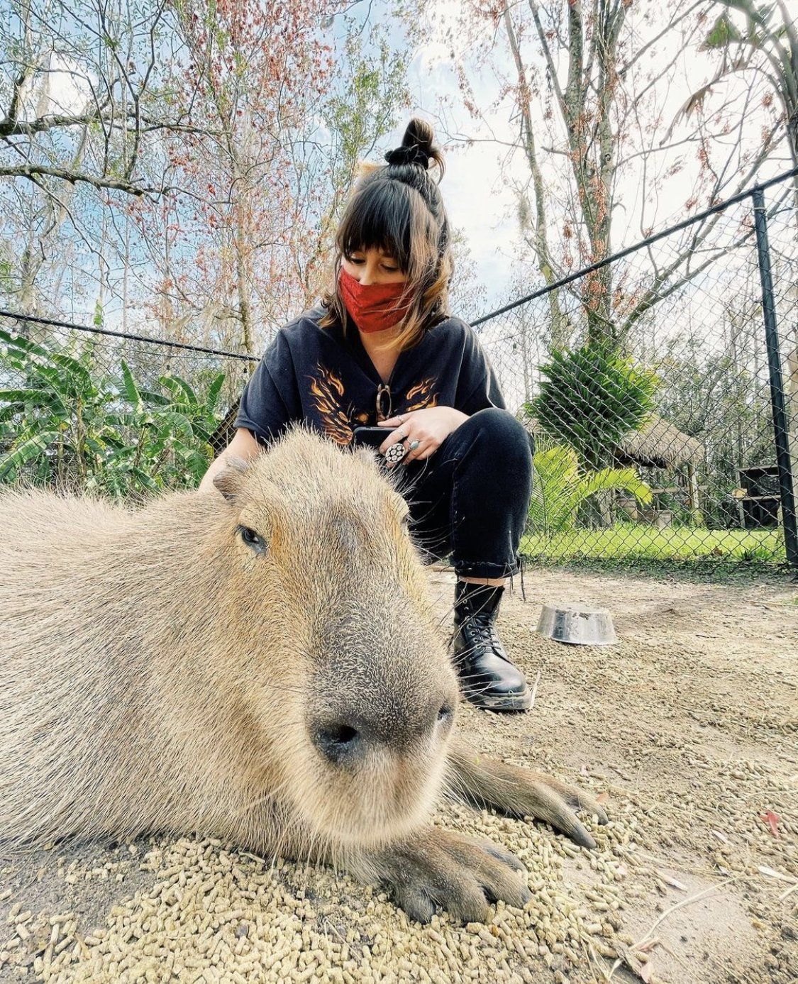 Capybara Encounter