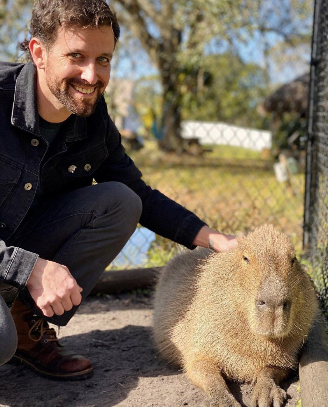 Capybara encounter
