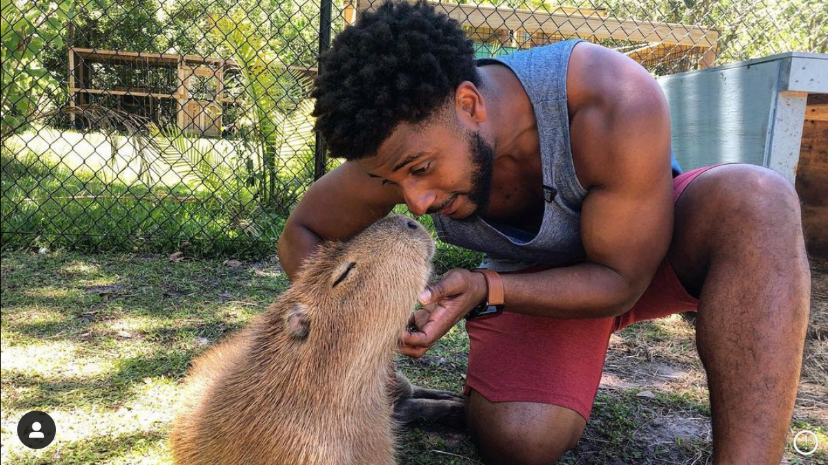 Capybara Encounter