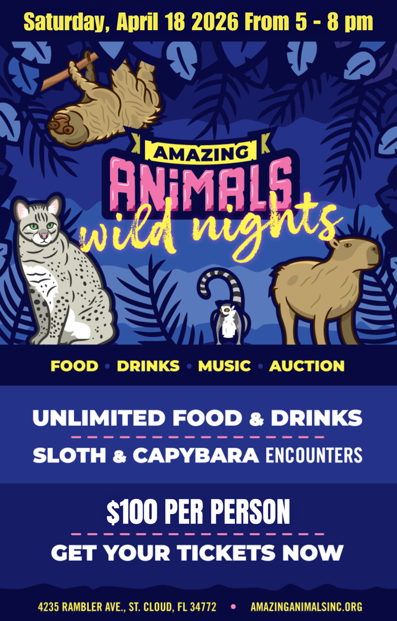 Amazing Animals Inc Wild Nights