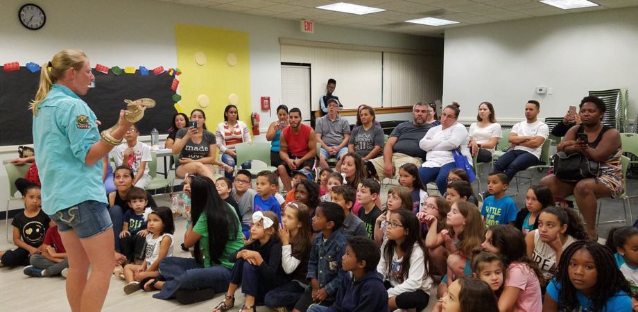 Zoo to You, Birthday parties, Traveling animals, Animal show