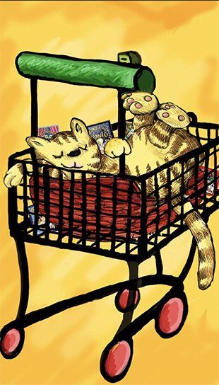 filme Bücher und mehr shop der kleine König von hedwig munck