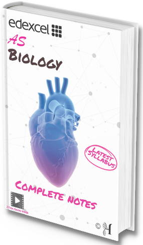 Edexcel AS Biology Complete Notes