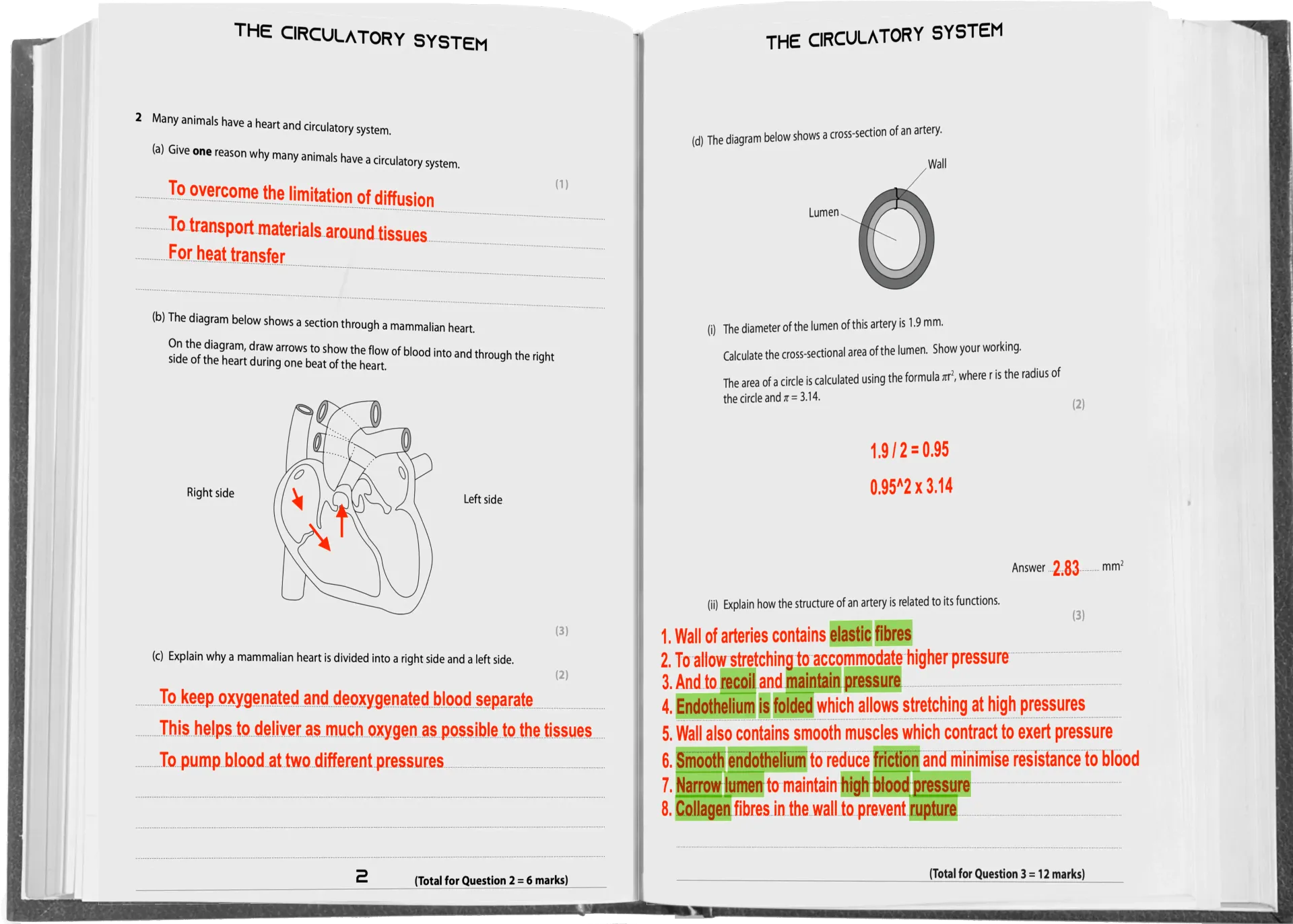An opened textbook displays notes on