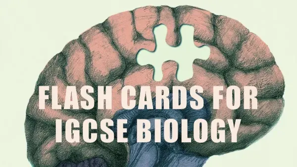 Brain illustration with a missing puzzle piece and bold text reading “Flash Cards for IGCSE Biology”