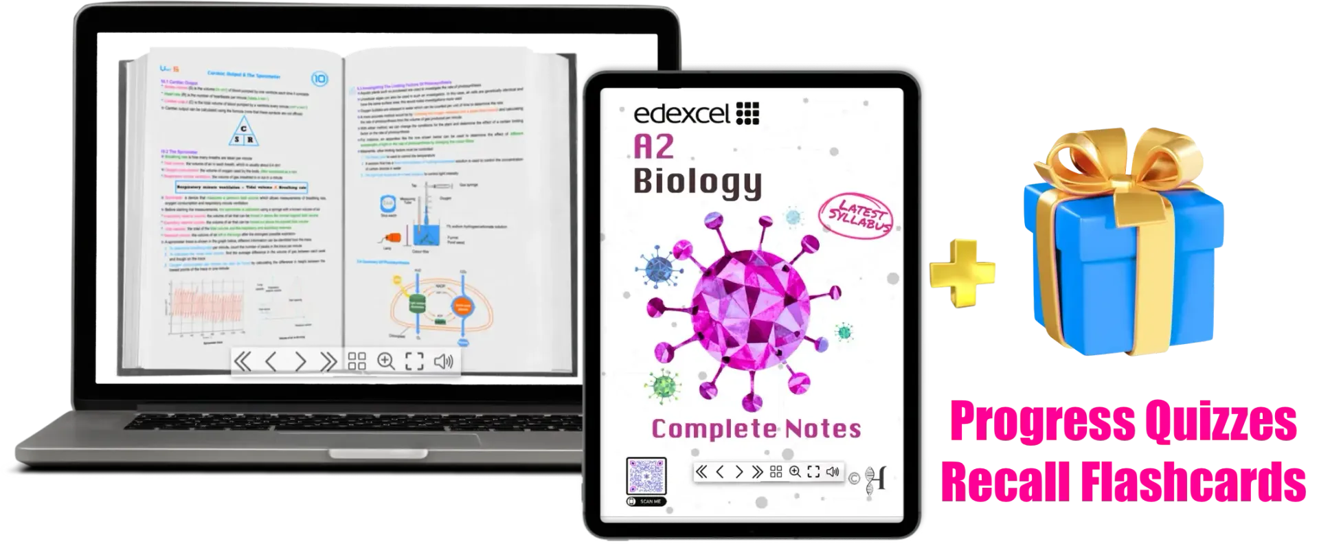 A laptop and tablet show AS biology notes, with a blue gift box, plus sign, quizzes, and flashcards text.