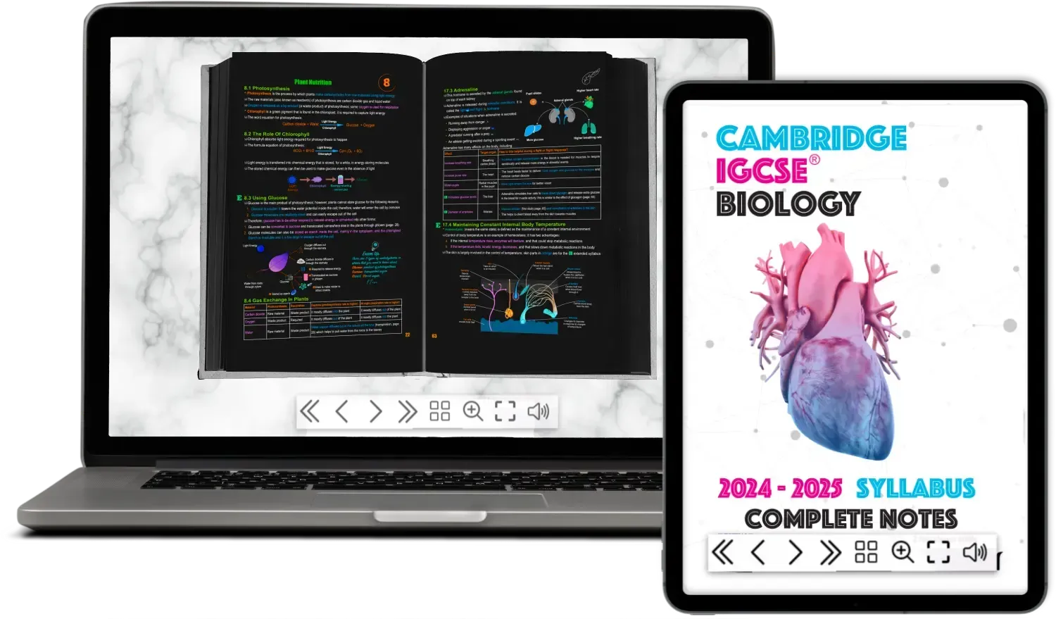 A level IGCSE notes past papers