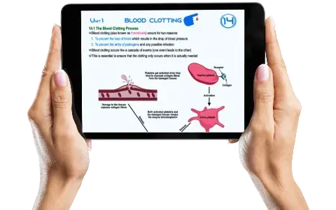 Download comprehensive IGCSE and A-Levels e-book for academic study and preparation.