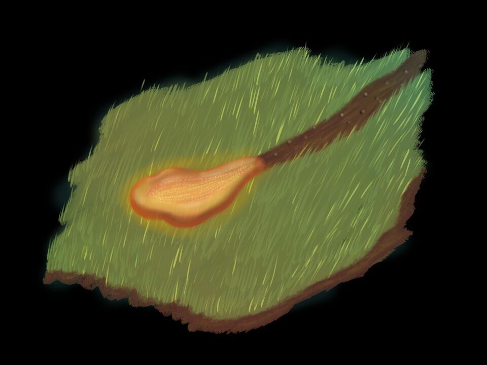 Hex preparing a crop field