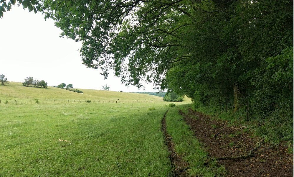 Site internet www.parc-naturel-ardennes.fr Site internet www.parc-naturel-ardennes.fr