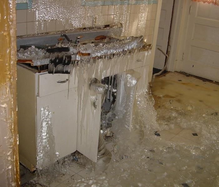 Winterization services for foreclosure and bank-owned properties including plumbing system draining, antifreeze application, and securing utilities to prevent damage