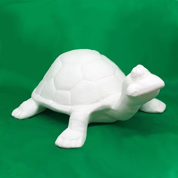 tortoise