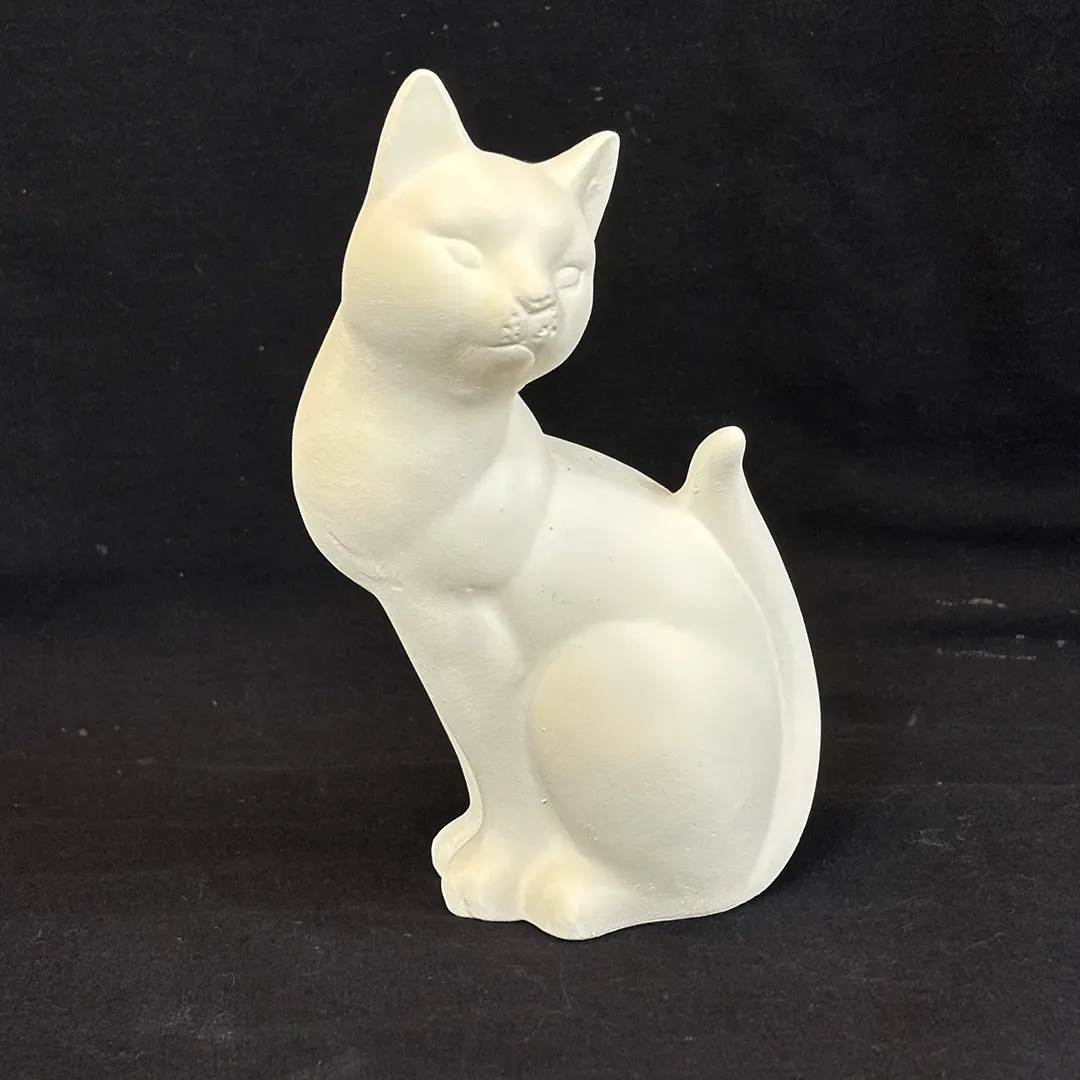 small cat