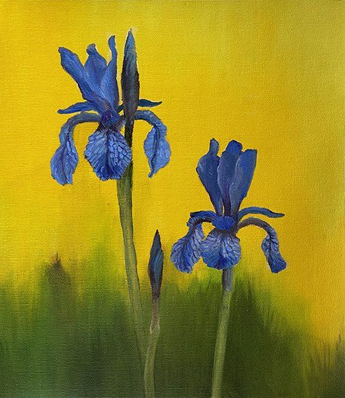 Irises Irises