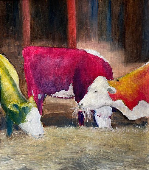Colourful Cows
