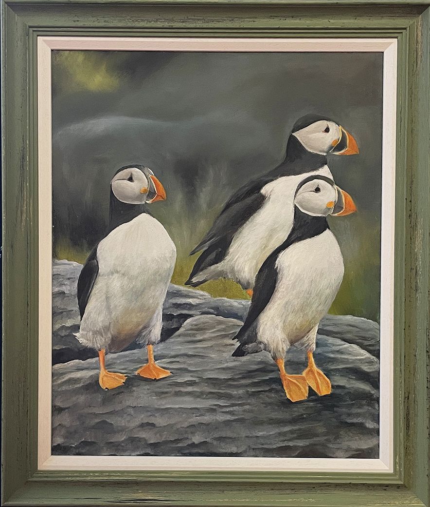 puffins