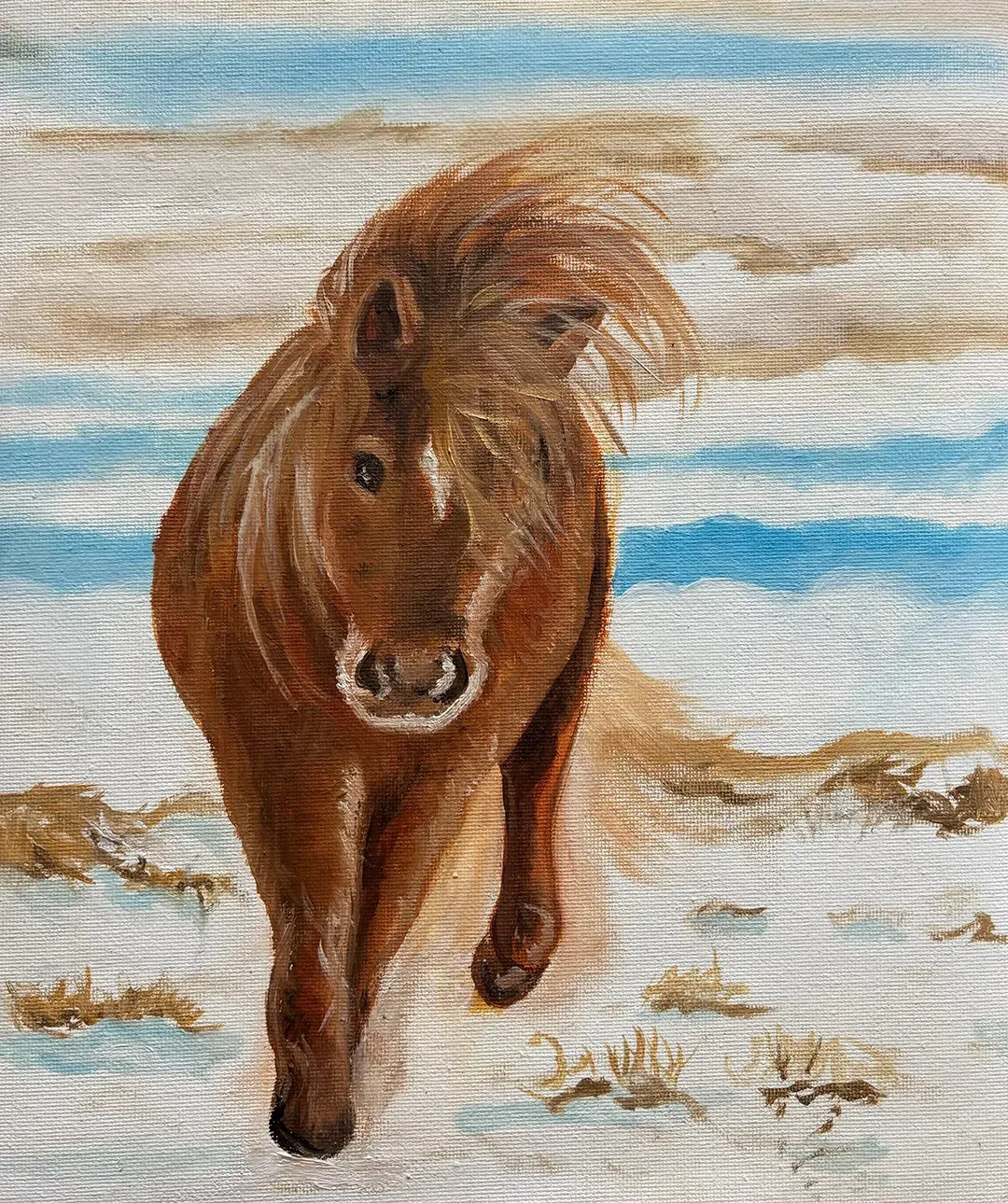 Pony on the beach