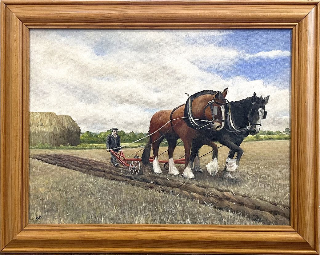 plough horses