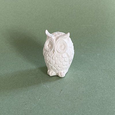 small long eared owl