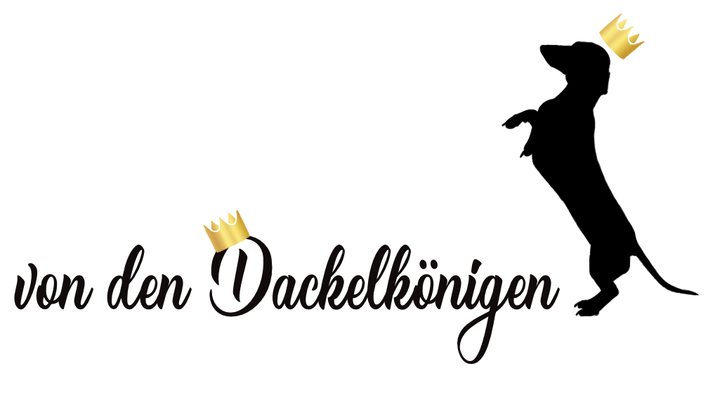 von den Dackelkönigen (FCI) von den Dackelkönigen (FCI)