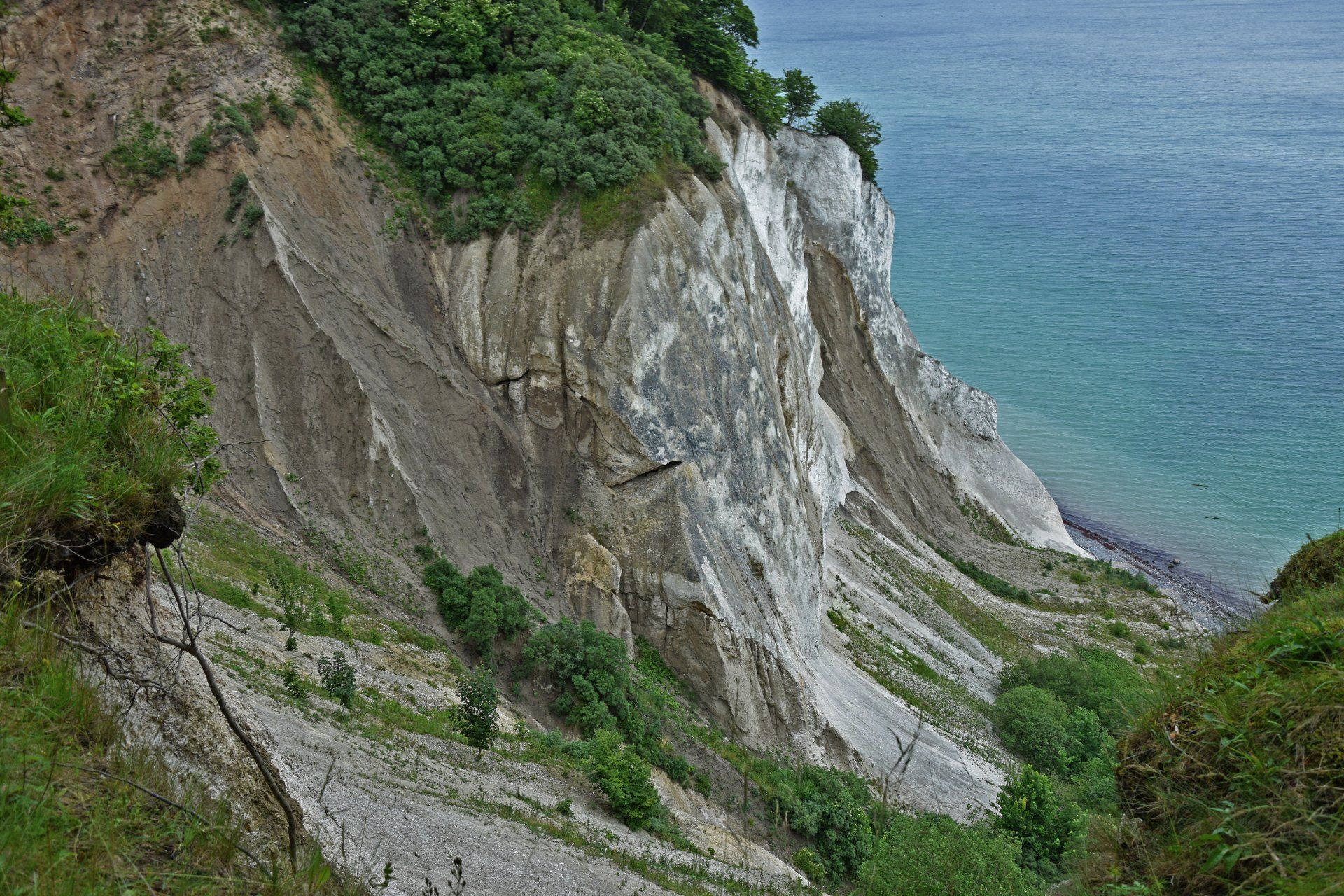Weiße Klippen Møns Klint