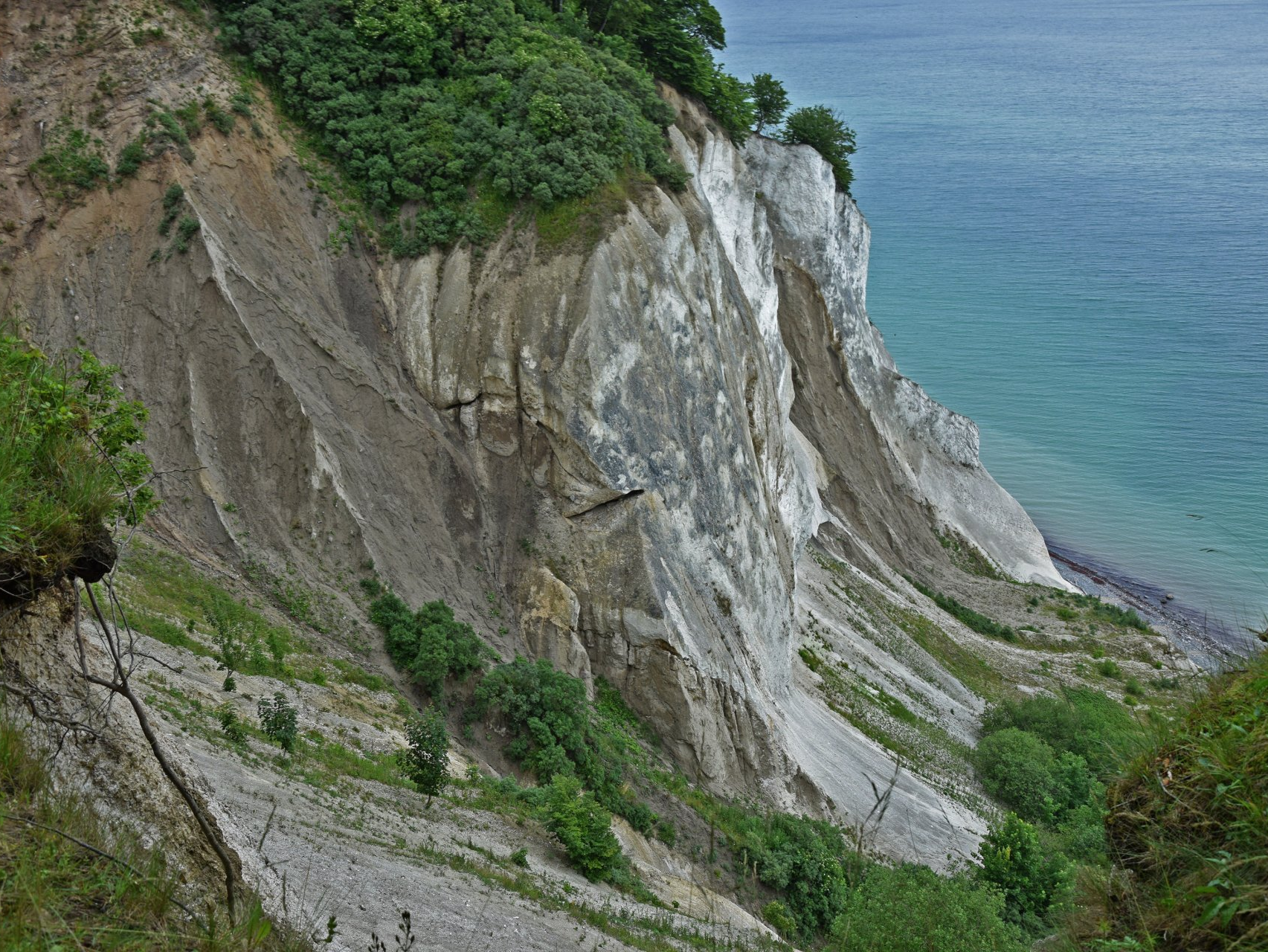 Weiße Klippen Møns Klint