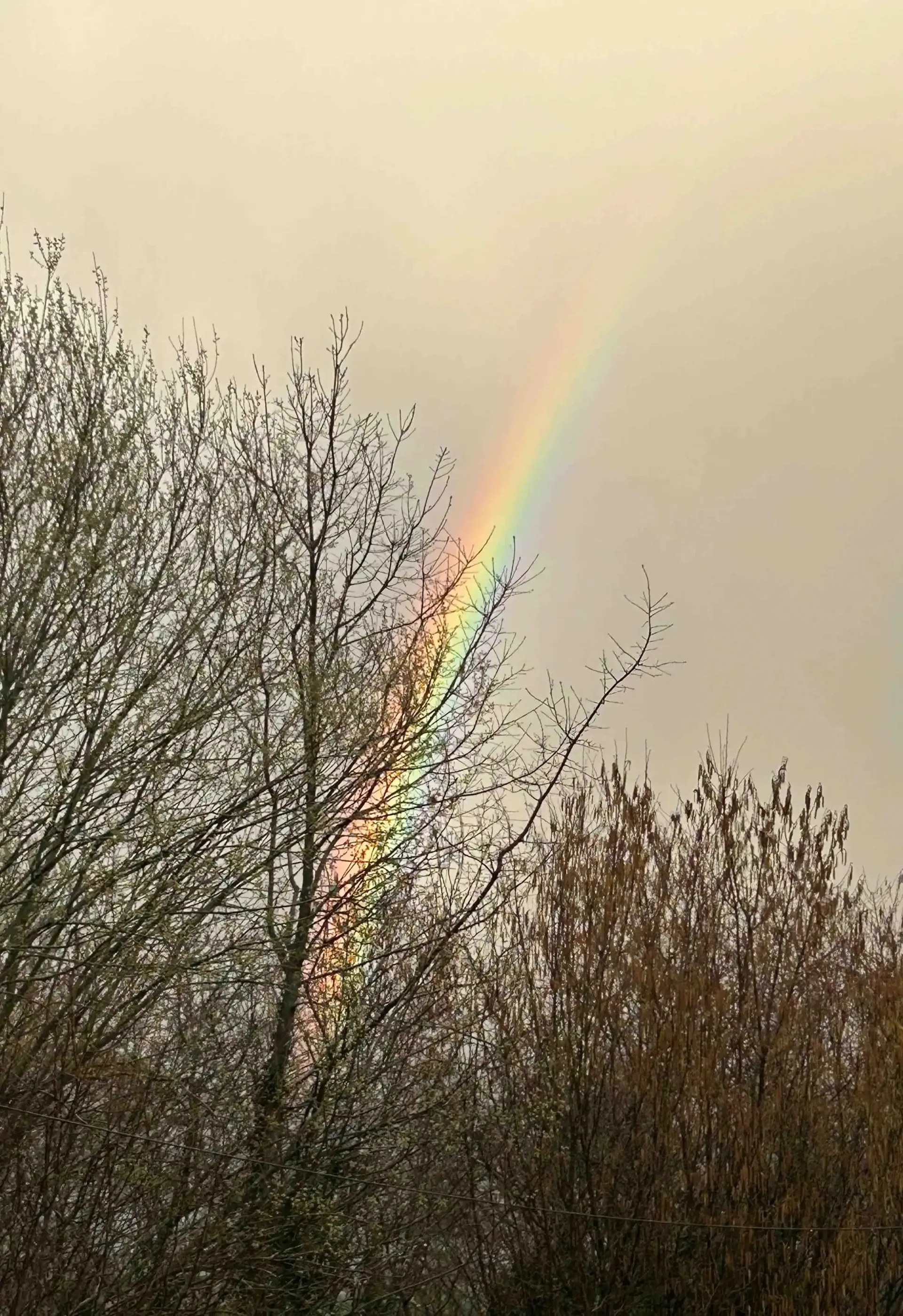 Bifrost - Arc-en-ciel mythologie scandinave