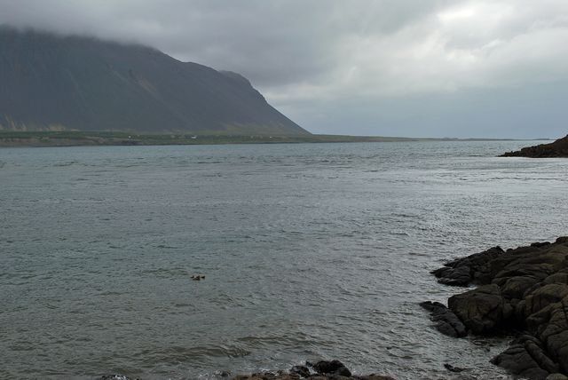 Le Borgarfjordur Islande