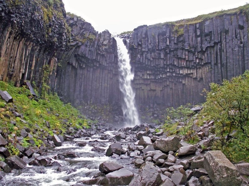 Orgues basaltiques de Svartifoss Islande