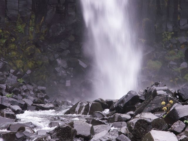 Les chutes de Svartifoss