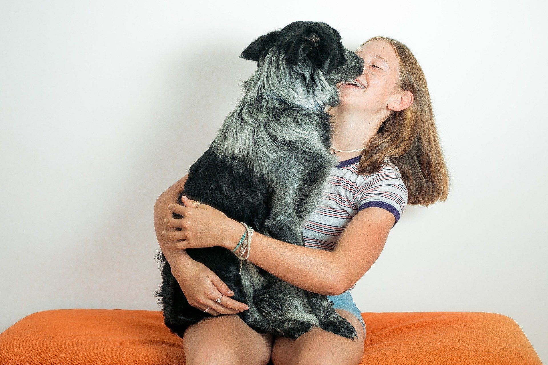Hunde sorgen für Oxytocin, dem Kuschelhormon
