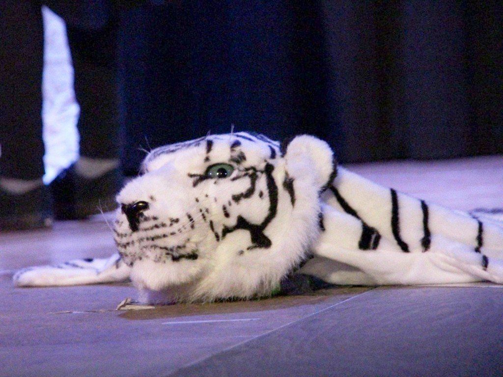 das weiße Tigerfell