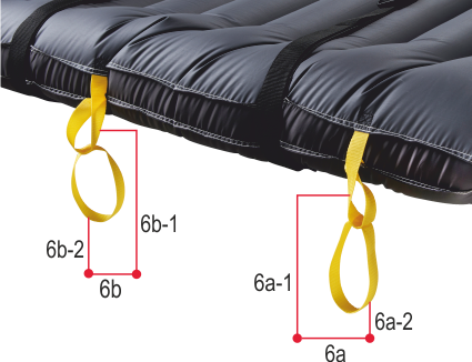 Image of EASPU-AM Features