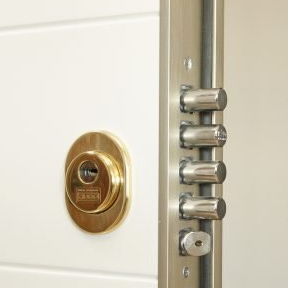 Protector anti-taladro Puerta Kiuso-100 Protector anti-taladro Puerta Kiuso-100