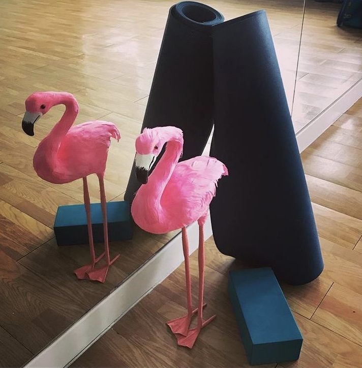 Flamingo Yoga Maya is your wellbeing concierge - online private 1:1 classes, to find your purpose and your 'WHY', build strength and flexibility.