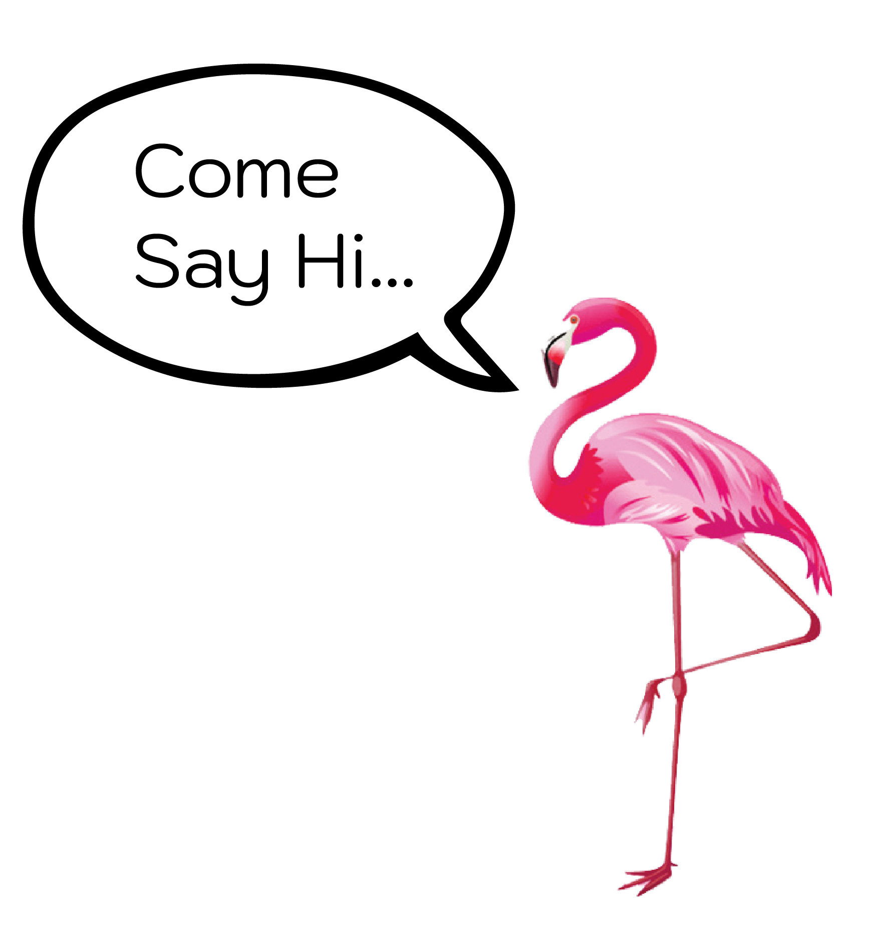Flamingo Yoga Maya is your wellbeing concierge - online private 1:1 classes, to find your purpose and your 'WHY', build strength and flexibility.