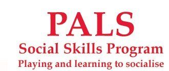 playing and learning to socialise (PALS)