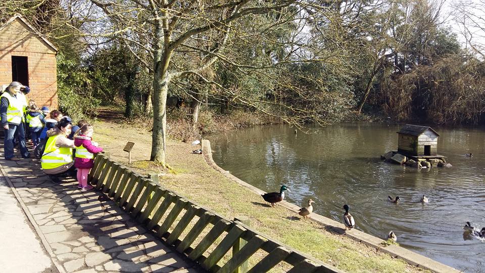 visit to the duck pond