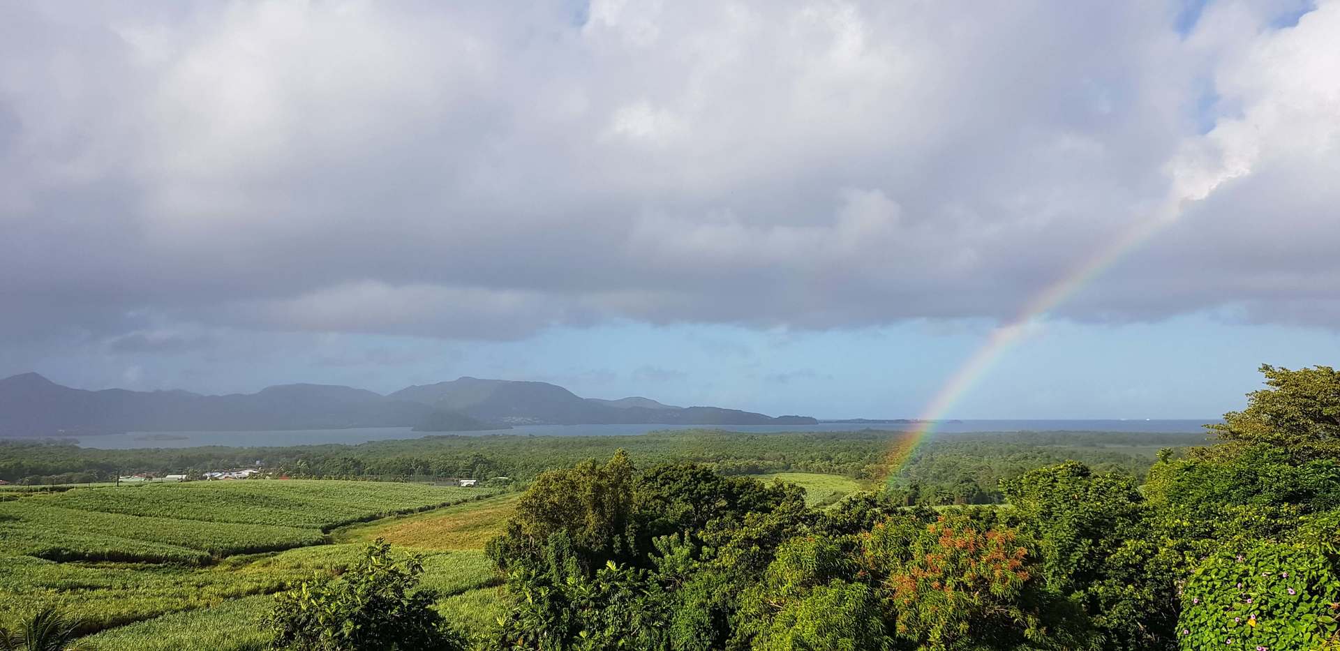 SurlaBaie.fr Baie de Fort-de-France Martinique Location Saisonnière F2 avec vue sur la Baie de Fort de France à Ducos. Location de vacances en Martinique. Maison avec piscine et jardin avec vue sur la Baie de Fort-de-France