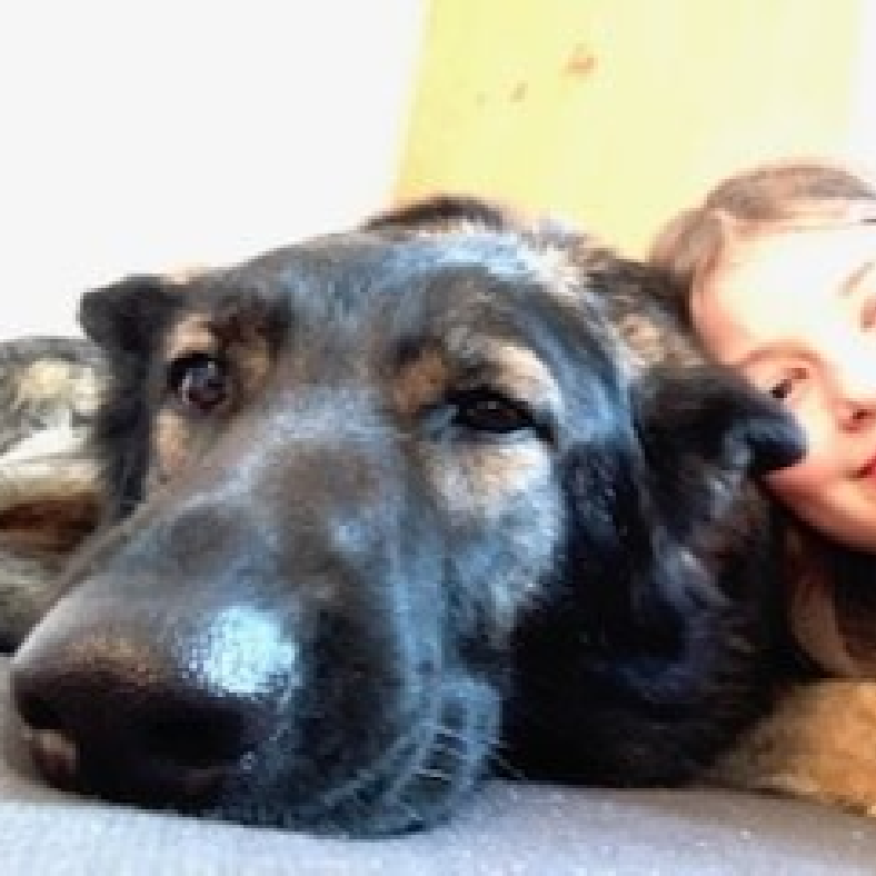 Psychotherapie mit Hund- zusammen ruhig werden Psychotherapie mit Therapiehund