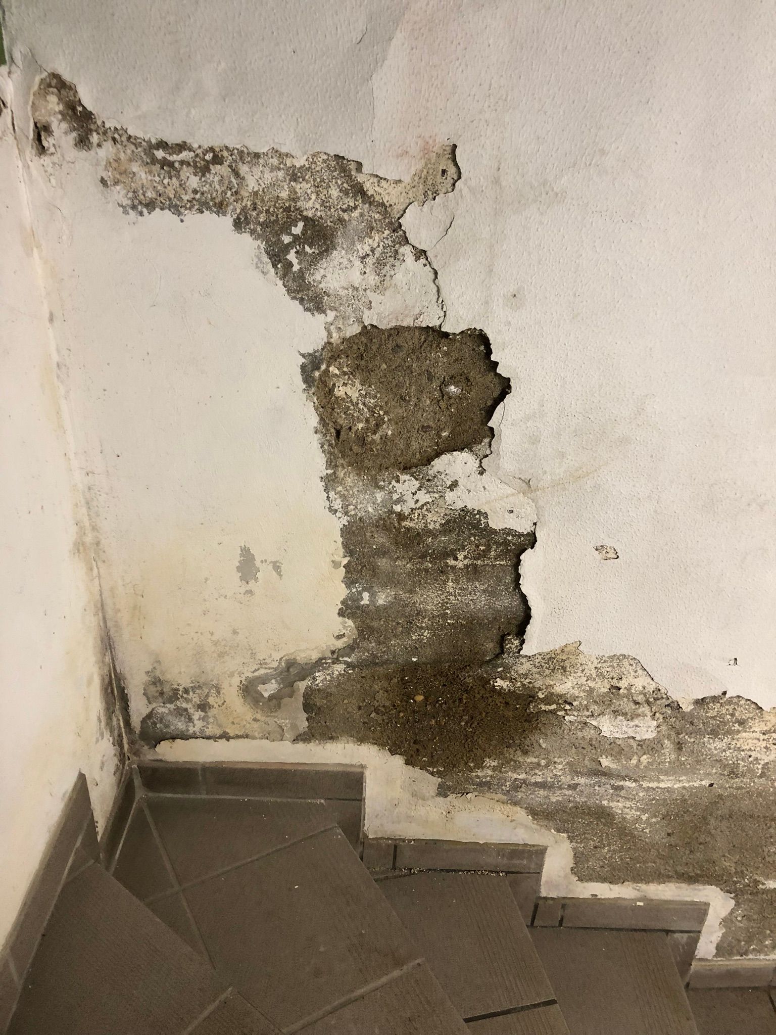 Nasse Kellerwände durch eindringendes Oberflächenwasser. Eindringendes Oberflächenwasser im Kellerbereich.