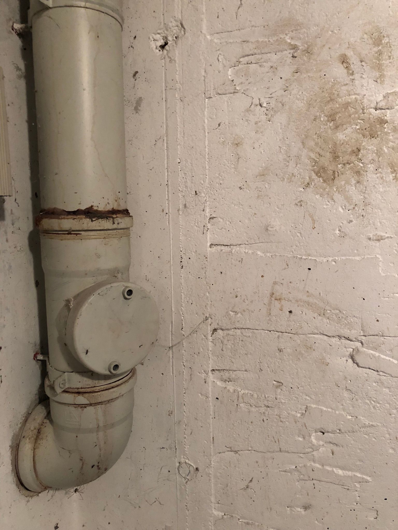 Revisionsöffnung Revison im Kunststofffallstrang im Kellerbereich.