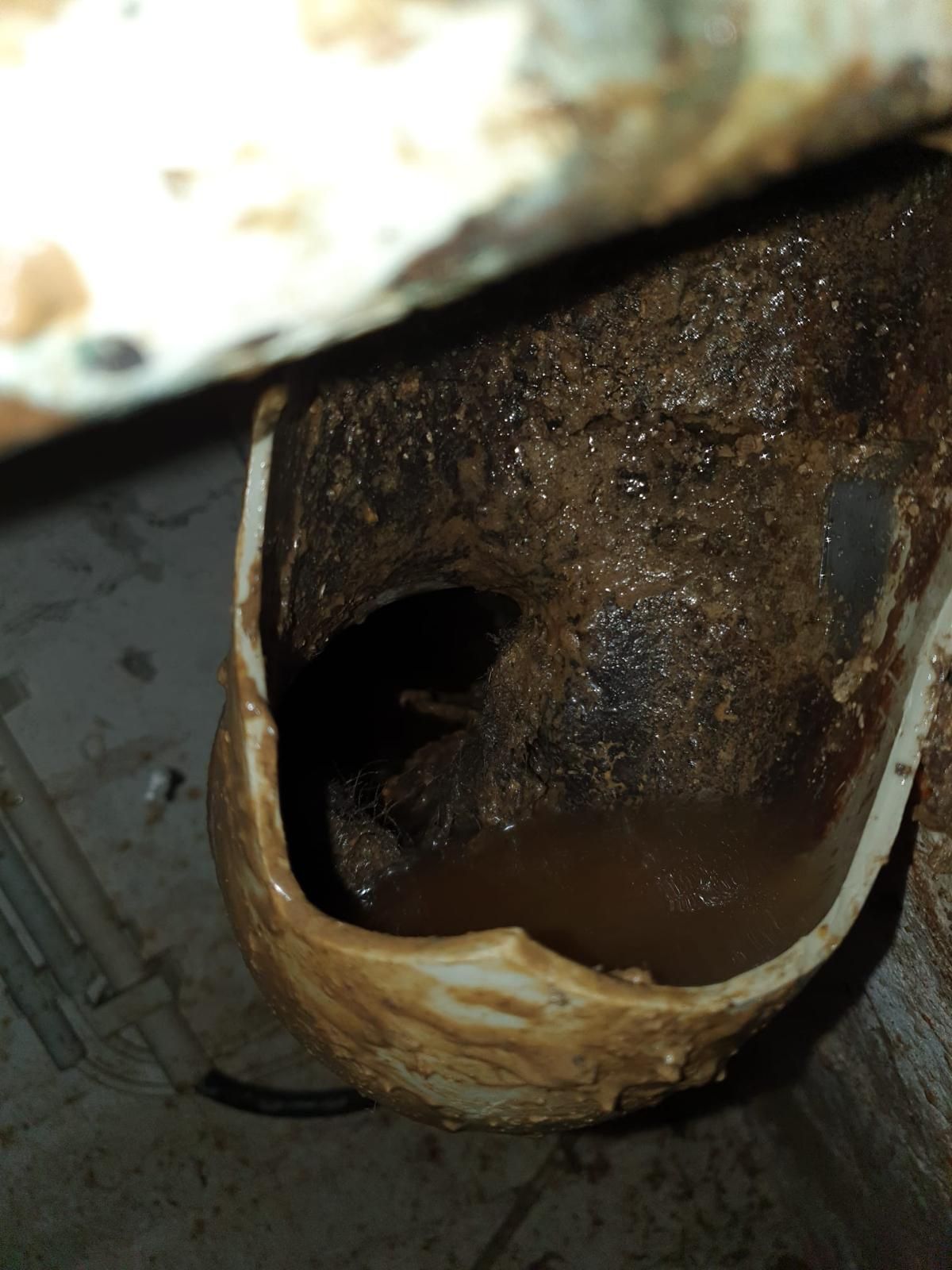 Rohrbruch einer Steinzeugleitung. Rohrbruch einer alten Steinzeugleitung - Rohrfrei Direkt Rohrreinigung.