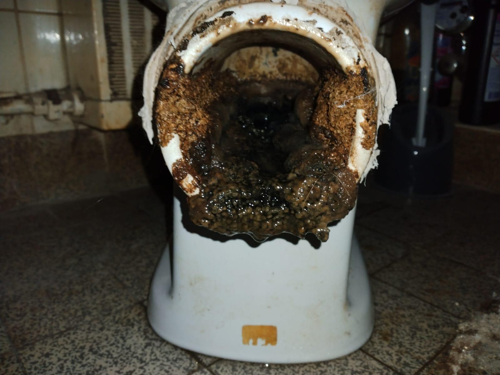Geruchsverschluss vom WC voll mit Urinstein.. Eine Toilette nach 30 Jahren. Geruchsverschluss voll mit Urinstein.