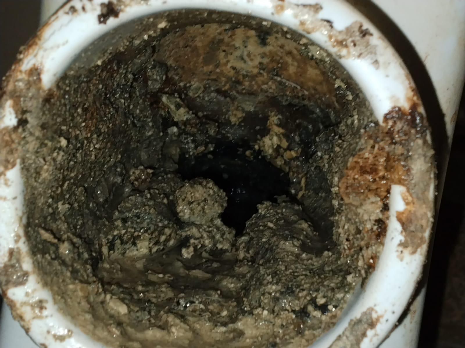 Verstopfter Geruchsverschluss am WC. Toilettenablauf am Geruchsverschluss zu 70% voll mit Ablagerungen.