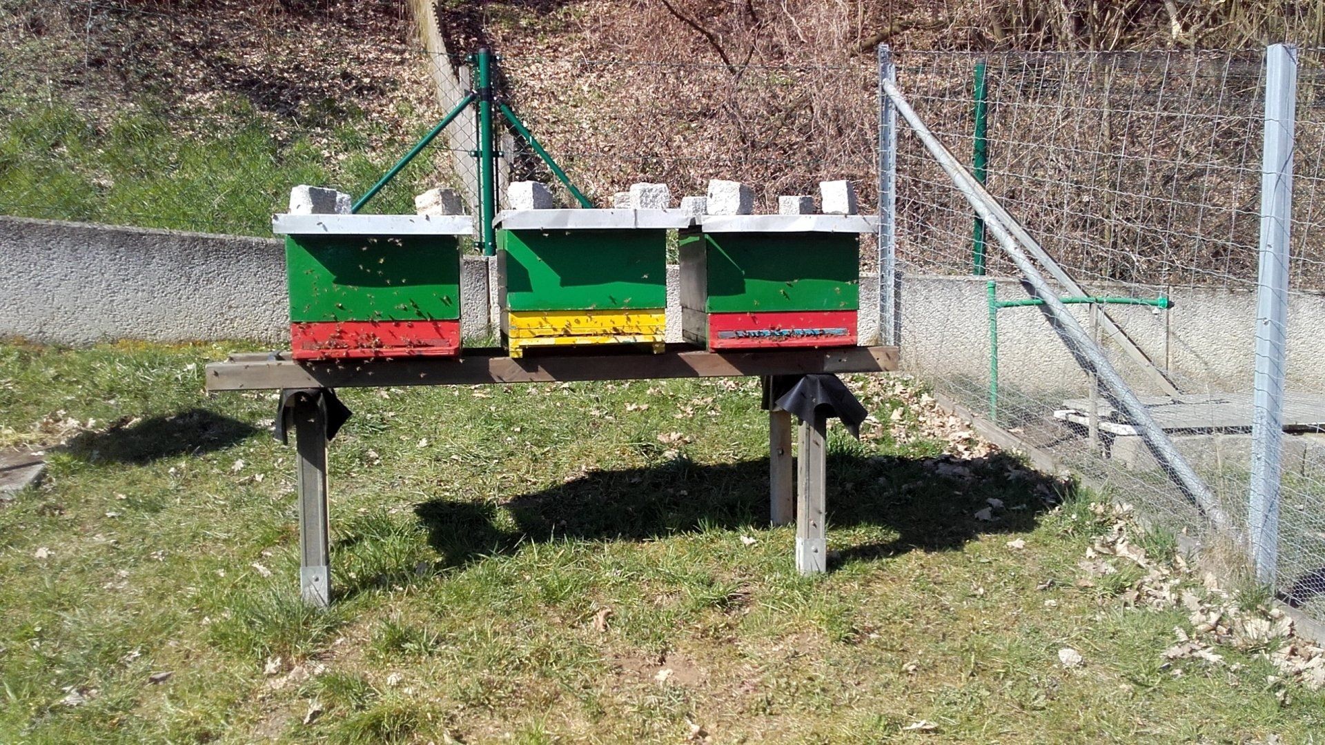 Bienenstöcke in Andis Garten Bienenstöcke in Andis Garten