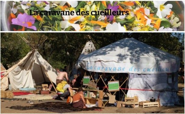 Cliquer pour afficher le flyer