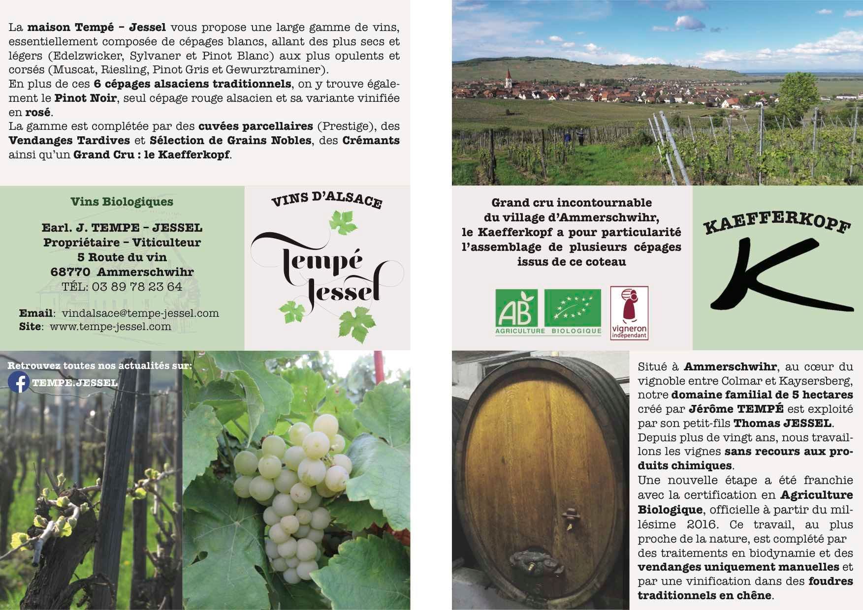 Cliquez pour agrandir